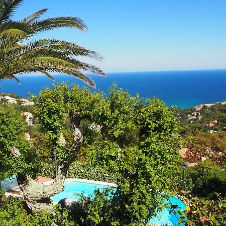 Gerarnium * Roquebrune-sur Argens